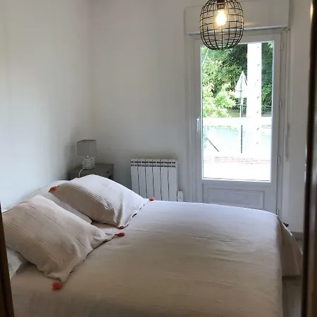 Les Hortensias * Eu (Seine-Maritime)